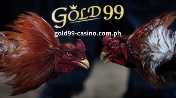 Gold99 Casino-Sabong2