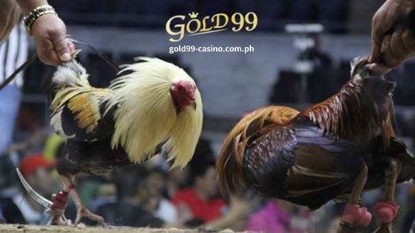 Gold99 Online Casino-Online Sabong 1