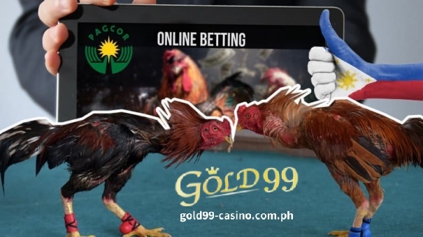 Gold99 Online Casino-Sabong 3